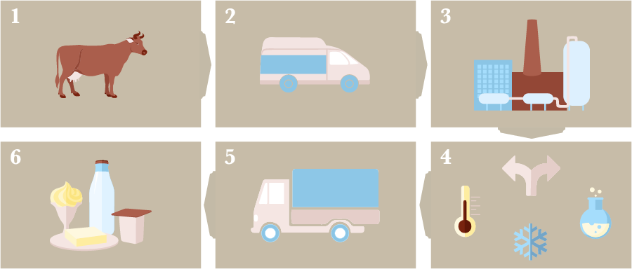 Grafik zum Produktionsablauf